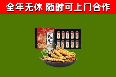 吉水县烟酒回收冬虫夏草礼盒.jpg